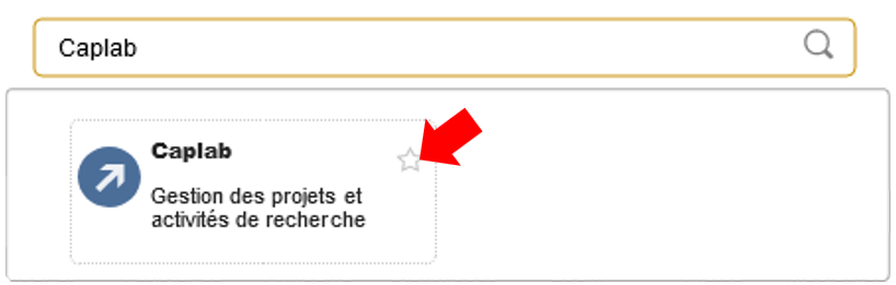 Caplab - Gestion des projets et activités de recherche