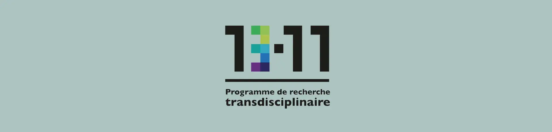 13-11 Programme de recherche transdisciplinaire