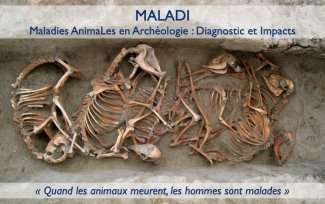 MALADI - Maladies AnimaLes en Archéologie : Diagnostic et Impacts. Quand les animaux meurent, les hommes sont malades