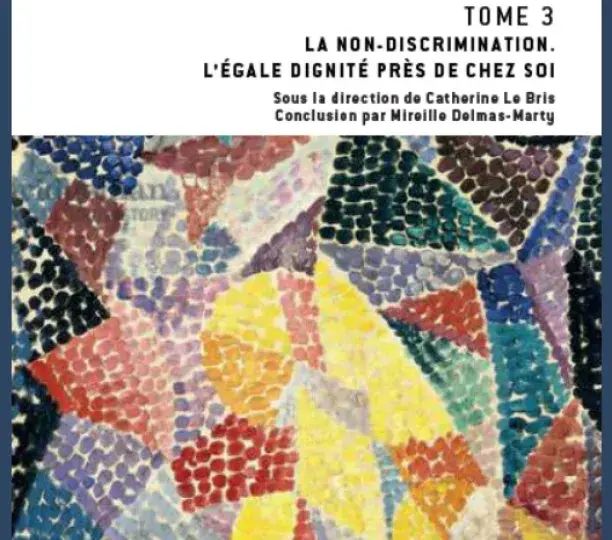 Les Droits de l’homme à l’épreuve du local - Tome 3